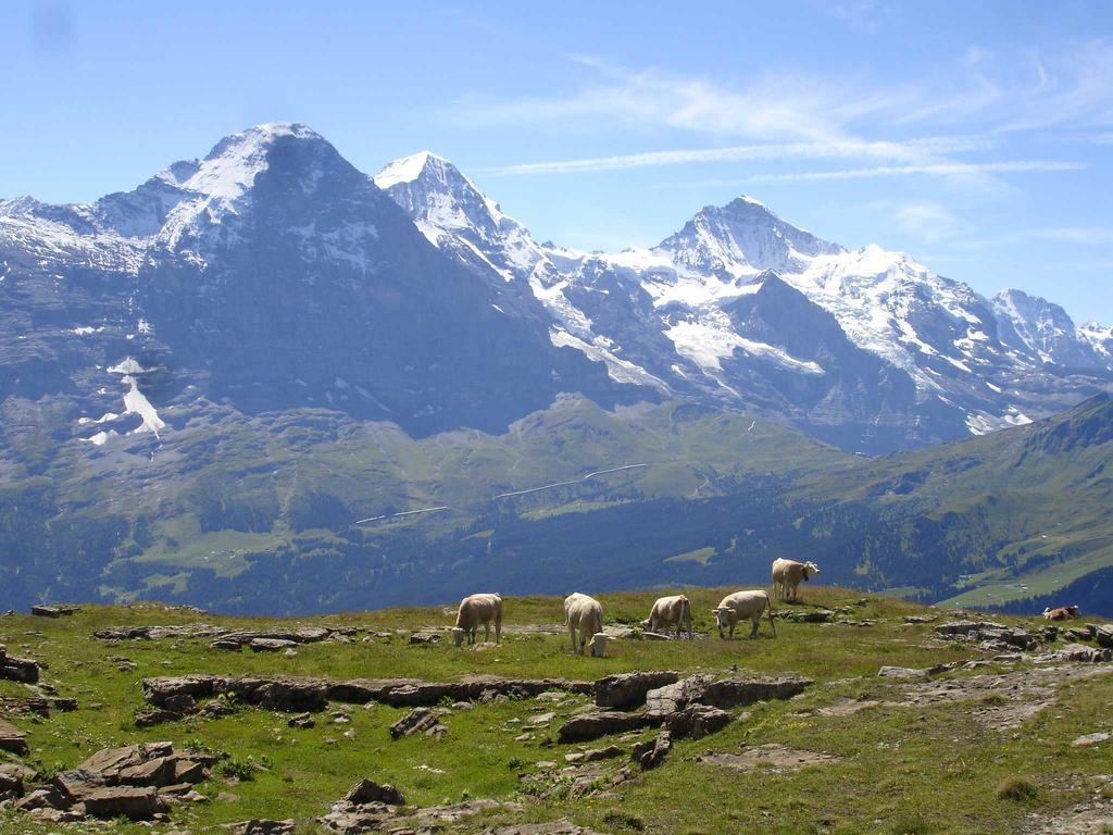 Beim See Grindelwald Exterior foto